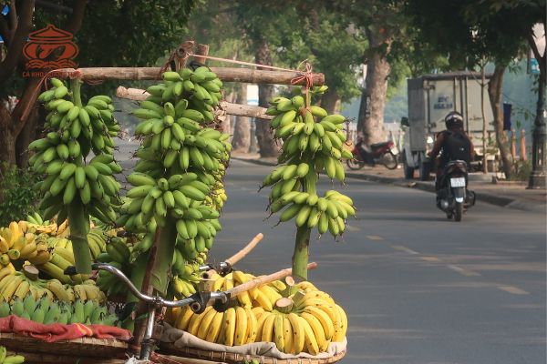 Chuối ngự đại hoàng